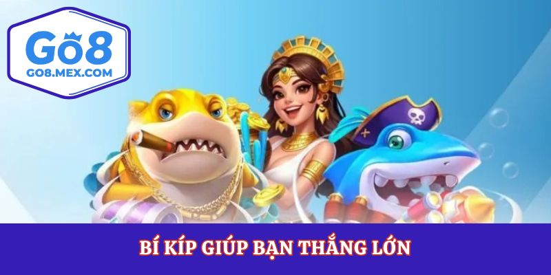 Bí kíp giúp bạn thắng lớn